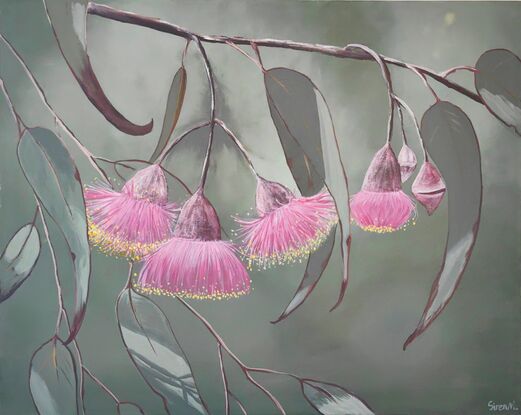 Australia native Pink Gum flower Acrylic painting on canvas