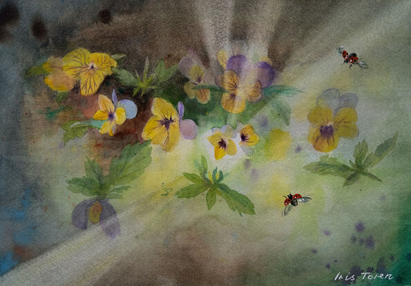 Yellow and lilac pansies with ladybirds in flight, and sunbeams streaming though