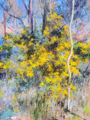 Small impressionist painting of wattle tree in the bush by Australian artist Victoria Collins. Bright yellow with grey-blues and earth tones. 