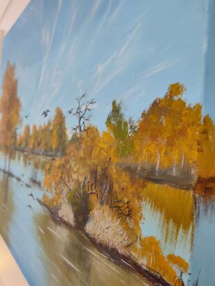 Golden foliage over the river,  Populus euphratica forest