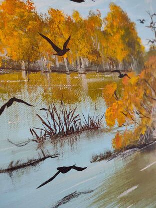 Golden foliage over the river,  Populus euphratica forest