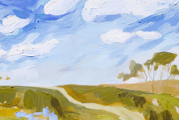 Cumulus clouds with a cauliflower-shape and brilliantly white hang over a subtle australian landscape. 