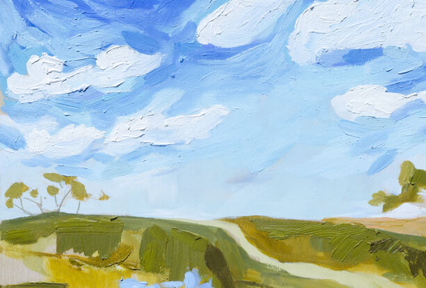 Cumulus clouds with a cauliflower-shape and brilliantly white hang over a subtle australian landscape. 