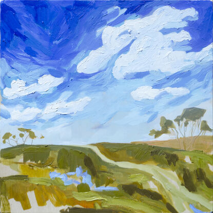 Cumulus clouds with a cauliflower-shape and brilliantly white hang over a subtle australian landscape. 