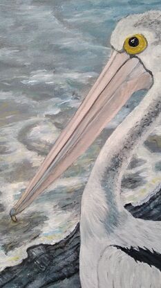 Pelican by the waters edge