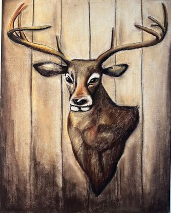 A deer bust hanging on a cabin wall