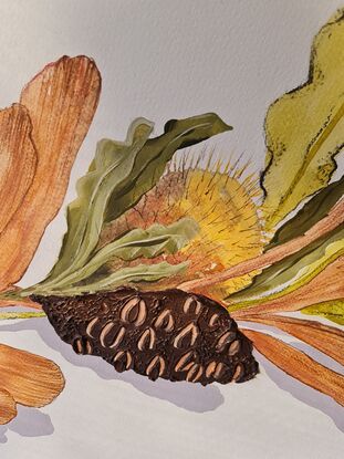 Dried botanical flowers laying flat with shadow