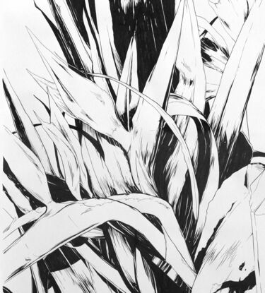 This work depicts a Bird of Paradise flower.