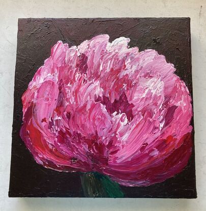 Pink and white peony on a black background. Brightly coloured with crimson centres and highly textured using medium for extra emphasis.