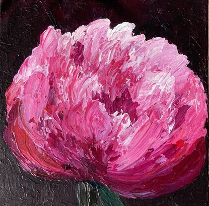 Pink and white peony on a black background. Brightly coloured with crimson centres and highly textured using medium for extra emphasis.