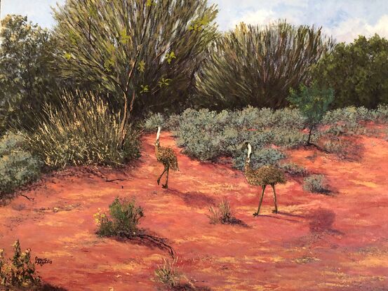 Emus wandering in the Australian bush