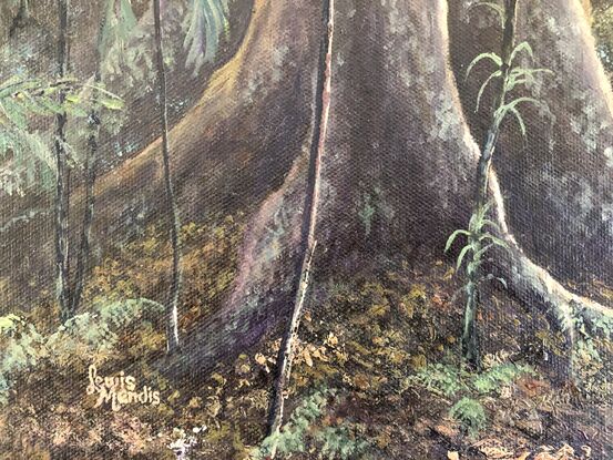 Rich vegetation and tree growth in the Dorrigo Rain forest