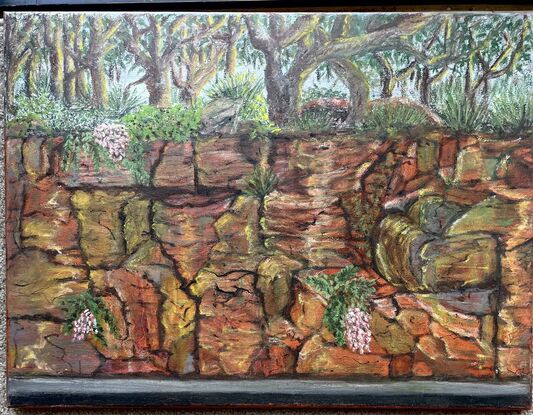 The face of a rock wall. Depicting large boulder style Rocks with Australian bush growing on top and native plants growing in between some of the rocks.