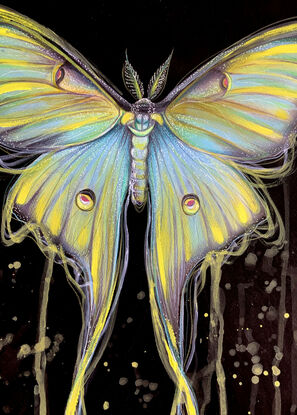 Luna Moth artwork by Sydney artist Leni Kae. 

From Leni Kae’s new series “Awakenings”. 
A2 art on paper, 42 x 59.4cm. Original art. Requires framing. 