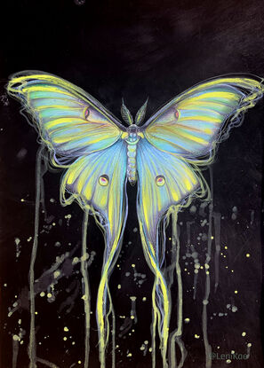 Luna Moth artwork by Sydney artist Leni Kae. 

From Leni Kae’s new series “Awakenings”. 
A2 art on paper, 42 x 59.4cm. Original art. Requires framing. 