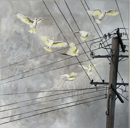 Flock of cockatoos flying to an electricity pole.