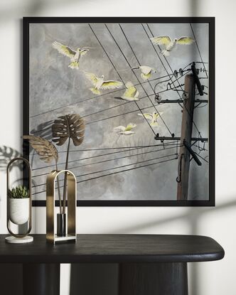 Flock of cockatoos flying to an electricity pole.