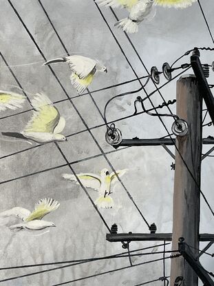 Flock of cockatoos flying to an electricity pole.