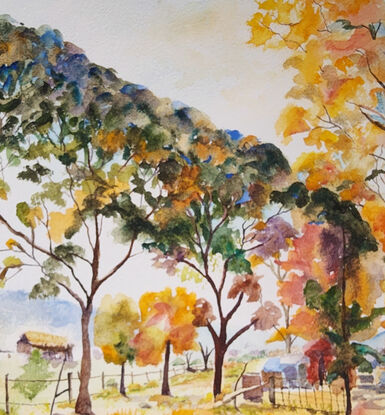 on a bright sunny morning over a misty valley are flurries of gold orange leaves set against a backdrop of trees in deep green, blue and purple shadows in the rural countryside