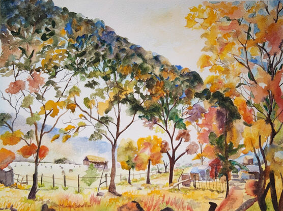 on a bright sunny morning over a misty valley are flurries of gold orange leaves set against a backdrop of trees in deep green, blue and purple shadows in the rural countryside