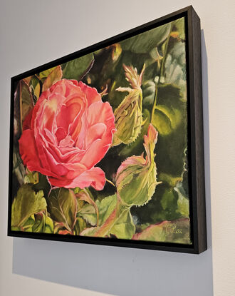 A densely petalled red rose and buds catching the light. 