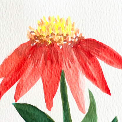 Singular flower painted in watercolour using yellow, red and green.