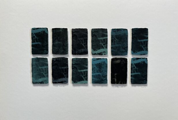 14 mini etching panels. Imagery is of the interior of the heart, the imagery looks like a root system or tree branches. Blue, black colours. 2 rows of 7 panels printed on handmade Japanese paper with soft deckled irregular edges. Mounted and unframed.