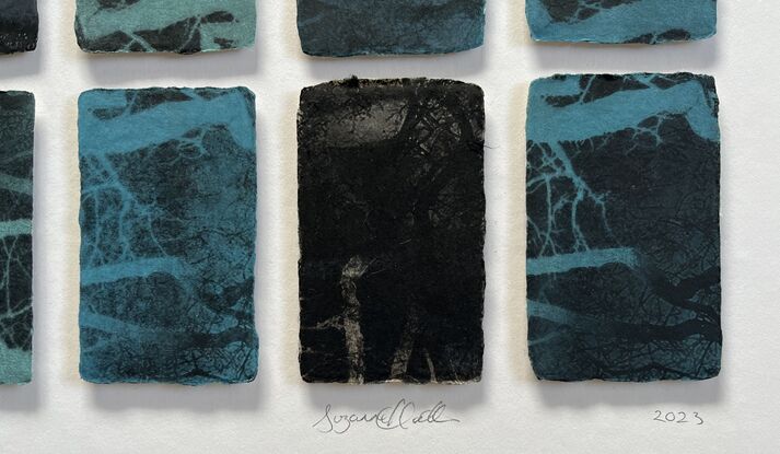 14 mini etching panels. Imagery is of the interior of the heart, the imagery looks like a root system or tree branches. Blue, black colours. 2 rows of 7 panels printed on handmade Japanese paper with soft deckled irregular edges. Mounted and unframed.