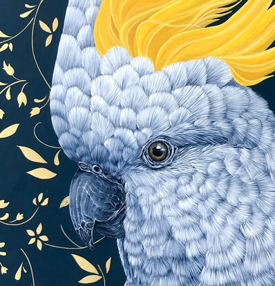 Sulphur crested cockatoo on a deep blue background with metallic gold floral design.