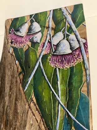 Pink eucalyptus blossoms, light, dark and torquise leaves and grey brunches on a piece of wood. The wood still has bark in the lower section. 