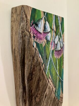 Pink eucalyptus blossoms, light, dark and torquise leaves and grey brunches on a piece of wood. The wood still has bark in the lower section. 