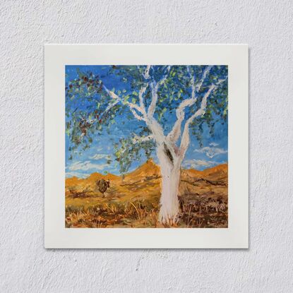 A view of a beautiful Australian ghost gum tree under a blue sky