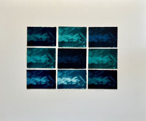 Ferns underwater, green, blue, deep rich colours, 6 x panels printed on paper with deckled edges. Relaxing, soothing, meditative. Mounted not framed.