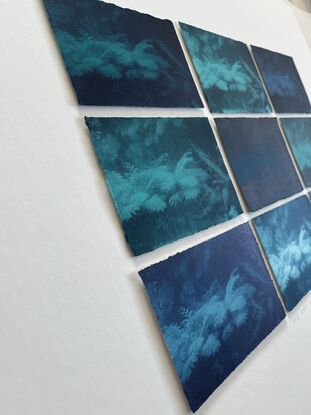 Ferns underwater, green, blue, deep rich colours, 6 x panels printed on paper with deckled edges. Relaxing, soothing, meditative. Mounted not framed.