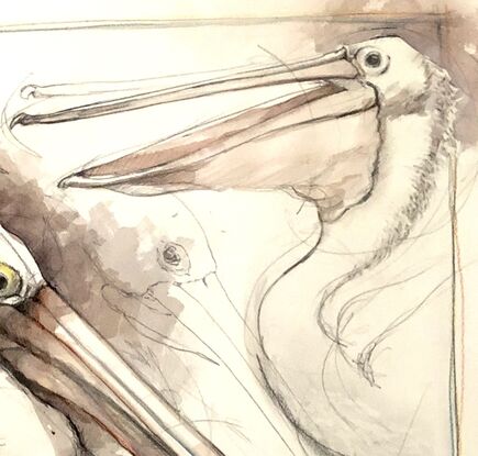 Although careful observation of the Pelican is essential  the expensive linear interpretation of the subject matter is a very  important component of the work. 