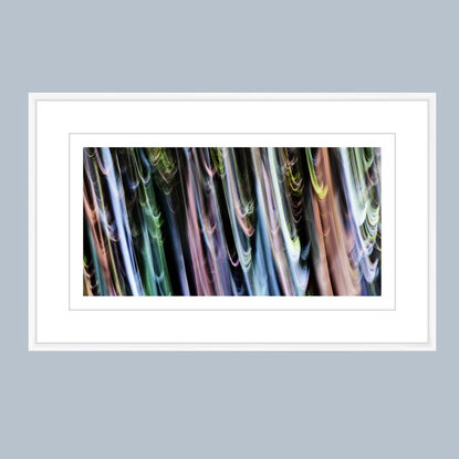 whispy, moody, pastel foliage in rainforest