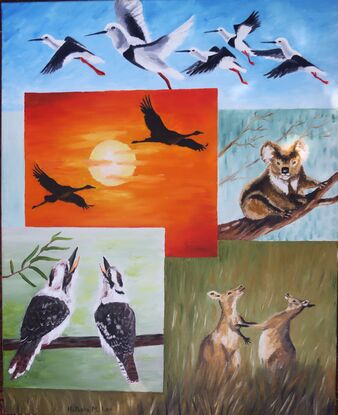 The images of the outback wildlife like they have been captured on postcards, the iconic images are stored together forever.