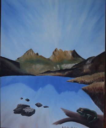 A view of cradle mountain from Dove Lake that imagines a frog's view of the scene