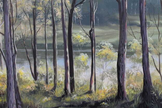 Australian bushland with river beyond gumtrees