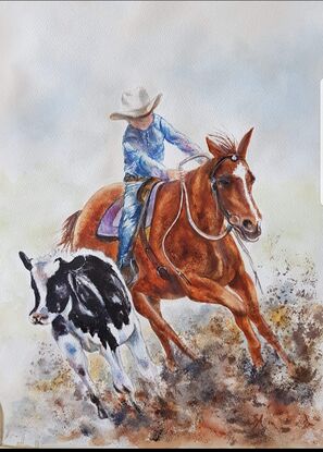 A young rodeo rider in outback Australia in  a campdraft competition. 