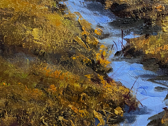 Salt marshes and mountains on Tomales Bay