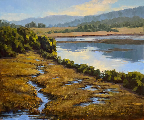 Salt marshes and mountains on Tomales Bay