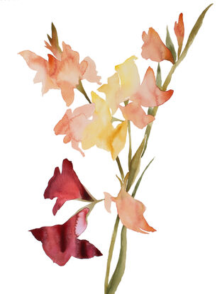 Expressive botanical gladiolus flowers