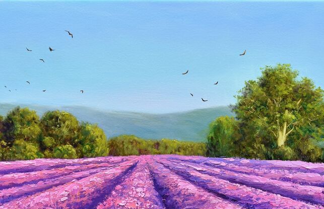 Landscape painting with a flock of birds flying over a lavender field