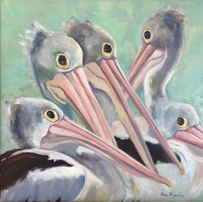 A group of Pelicans portrait 