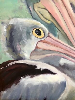 A group of Pelicans portrait 