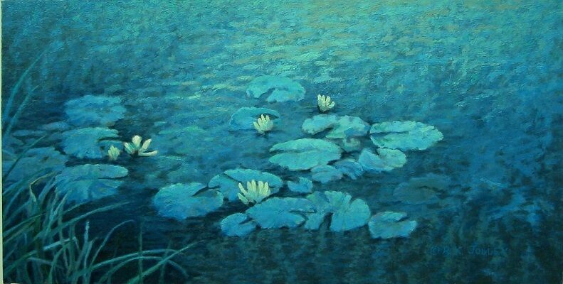 Water lilies