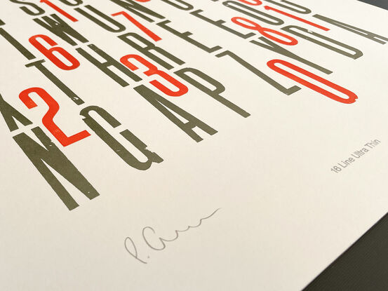 
The vibrant colour palette of silver/green and orange bring the large format letterpress  print to life.  