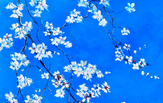  An oil painting of branches of white plum blossom flowers on a dark blue background