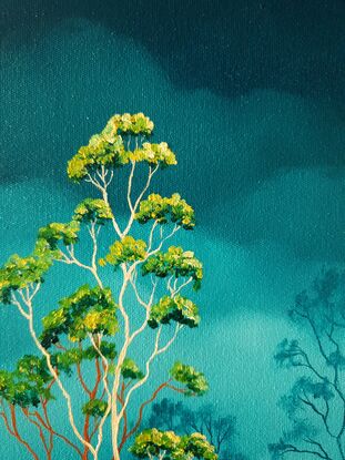 Oil painting, landscape, Australiana, ghost gum trees,  small, tall, teal, clouds, tree tops